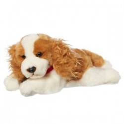 Dog Buyers Guide